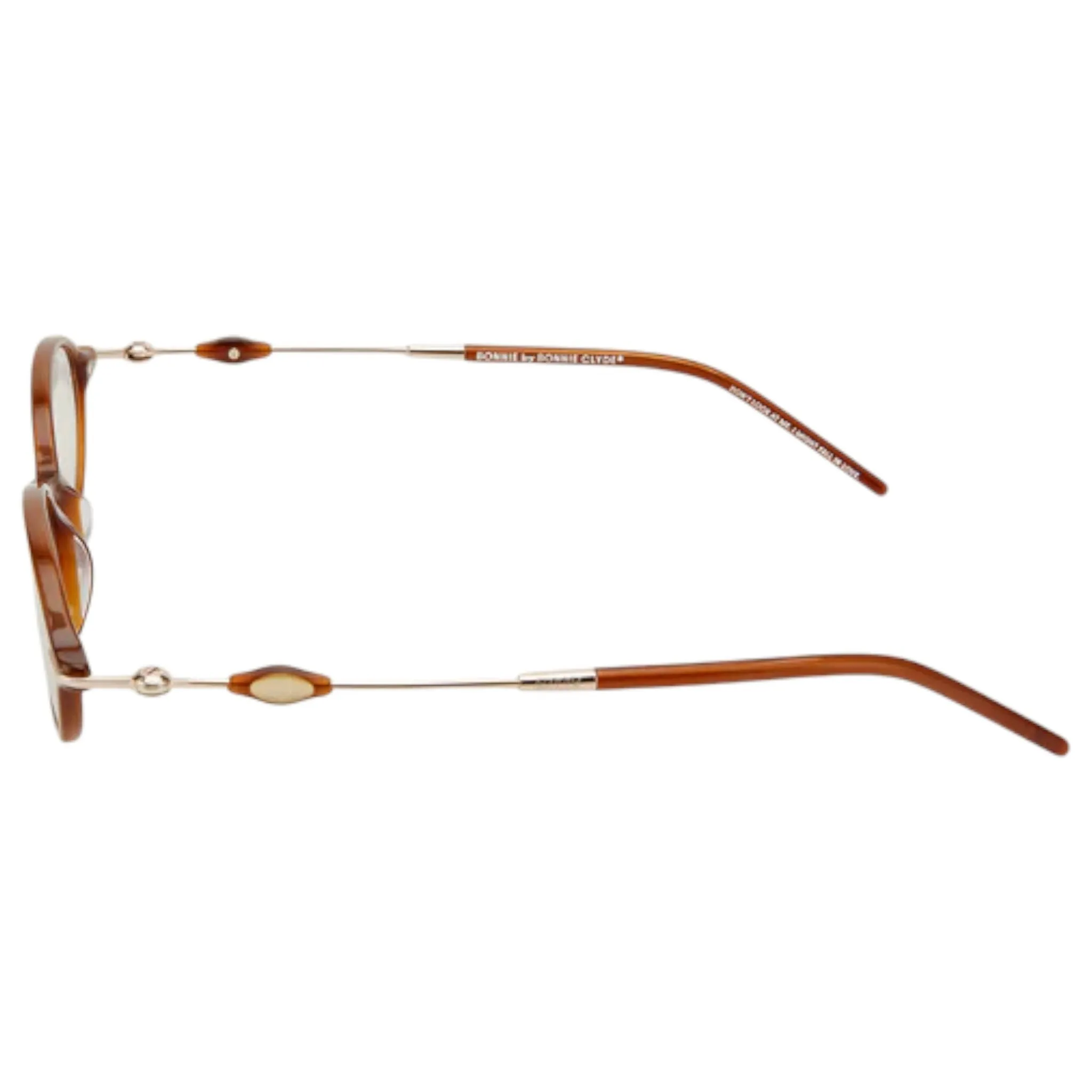 SWIMMING / GOLD DARK BROWN CLEAR